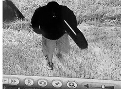 Marion Police investigating burglary at Victory Church