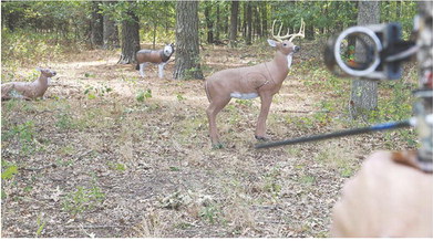 Archery competition prepares hunters for bow season