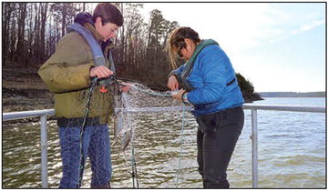 AGFC working with fishermen in DeGray Lake study