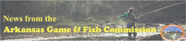 Arkansas Game & Fish Commission Weekly Fishing Reports