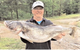 AGFC shines spotlight on North Arkansas fishing