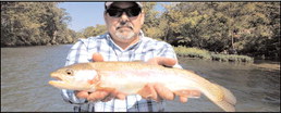 East Arkansas Fishing Reports